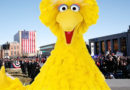 Big Bird Announces He’s Running For President In 2024*