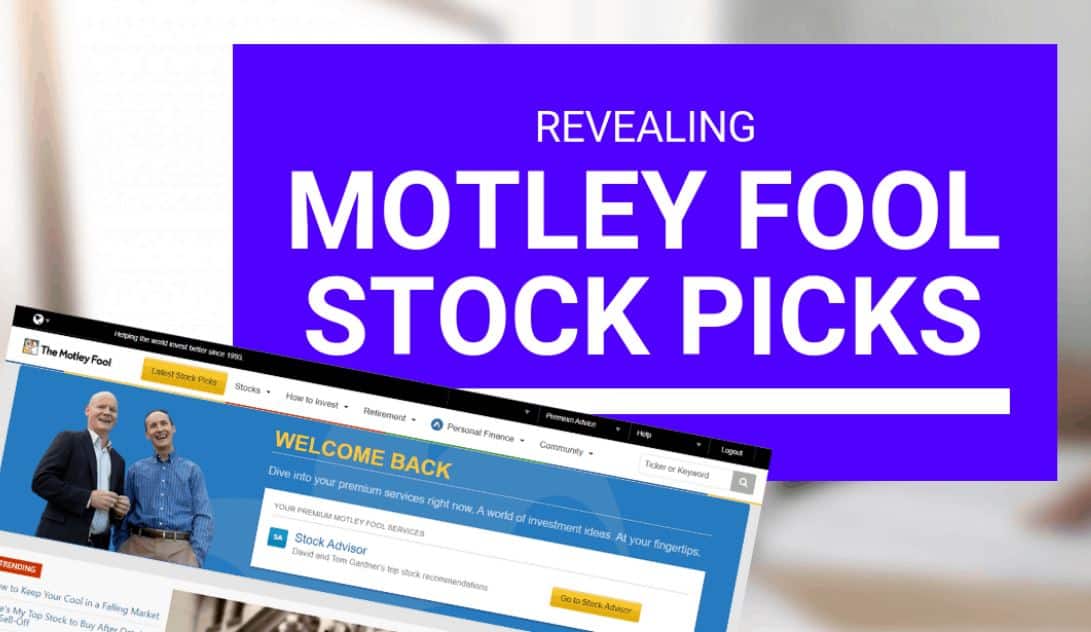 Motley Fool Stock Picks Revealed Bera News